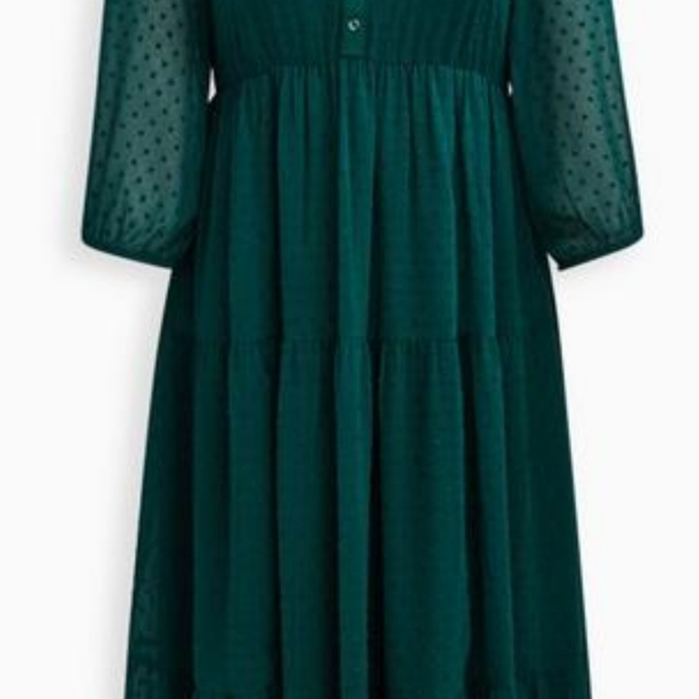 Maxi Chiffon Clip Dot Pleated Dress